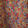 Lapel Collar Liberty Emma and Georgina Dress