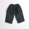 Long pants 22 Petrol velvet